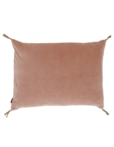 Housse de Coussin Velours Blush l'évolution des habitudes 