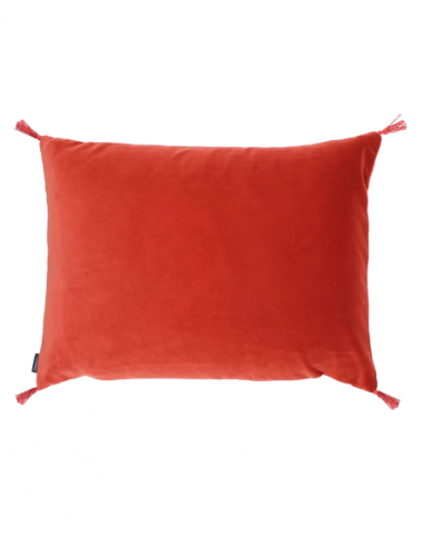 Coussin Smooth Roobios Dans la société mordern