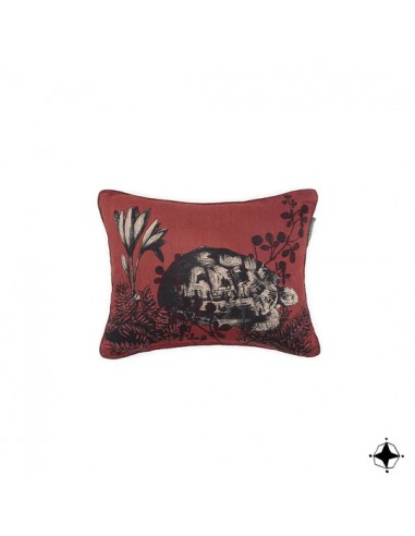 Coussin Bestiaire Tortue destockage