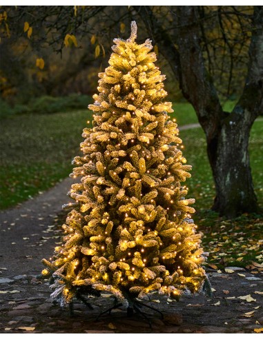 Sapin de noel ANTON de pas cher