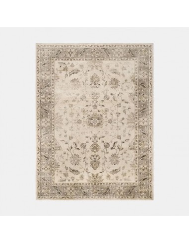 Tapis oriental plat beige motif floral du meilleur 