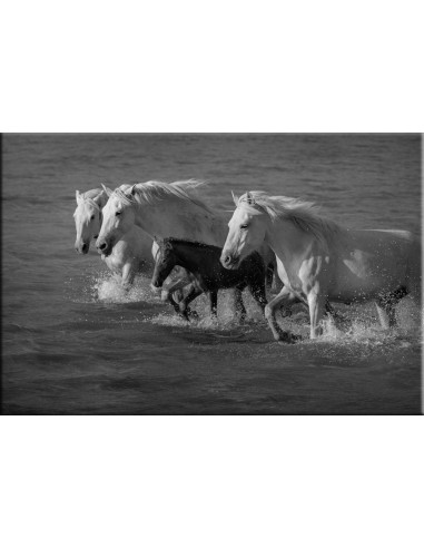 Photographie sur Dibond à prix réduit toute l'année