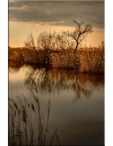 Photographie sur Dibond en linge