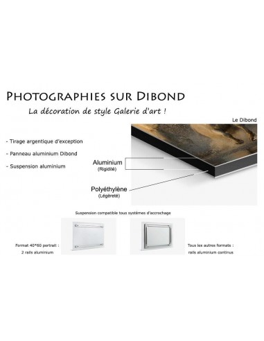 Photographie sur Dibond vente chaude votre 