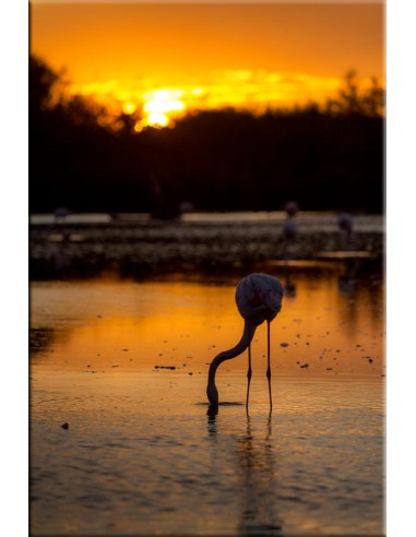 Photographie sur Dibond hantent personnes