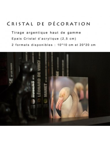 Cristal de décoration 2024