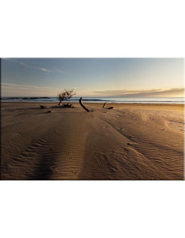 Plage sauvage de Camargue une grave pollution 