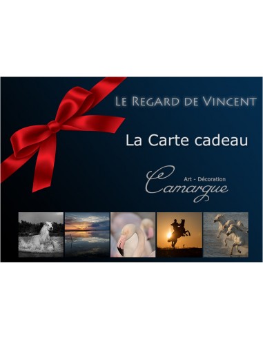 La Carte cadeau - Le Regard de Vincent Les êtres humains sont 